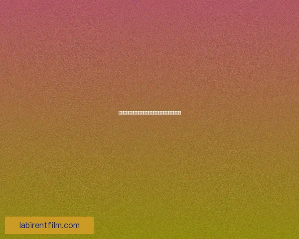 副手幻化系统全面解析与实战技巧提升助力全新冒险体验