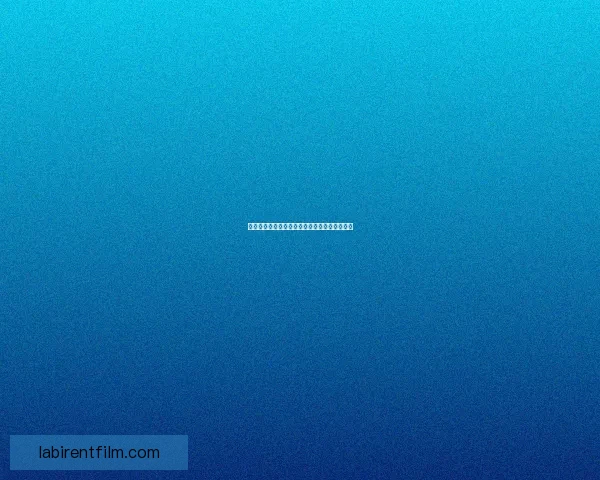 揭秘海龟汤谜题背后的心理推理与逻辑陷阱探秘