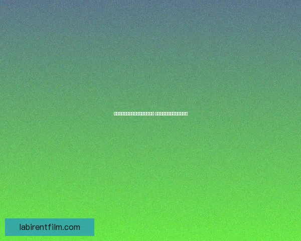 机关棋谭全关卡详细攻略与技巧解析 轻松掌握通关要领与最佳策略