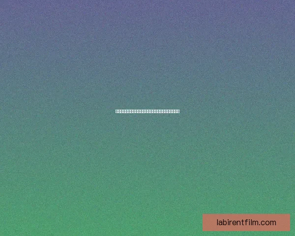 狮僧的智慧与力量：探索禅宗文化中的修行之道与心灵启示