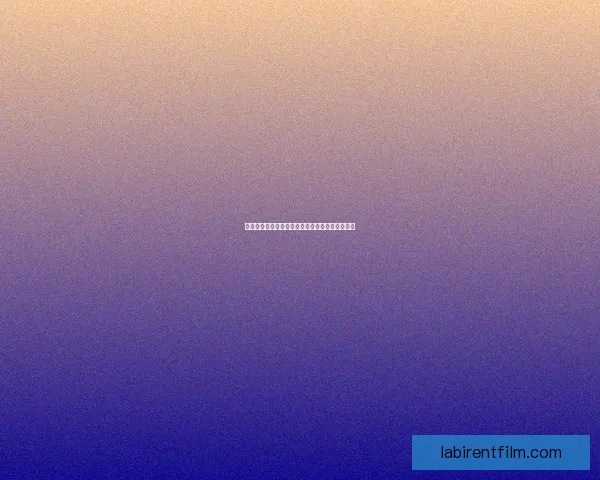 神秘逃亡之谜:追寻失落的真相与未知的命运挑战 神秘逃亡之谜:追寻失落的真相与未知的命运挑战