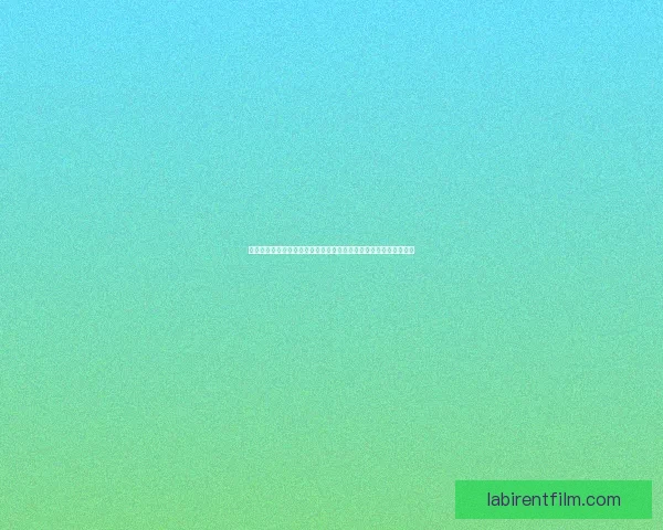 重生之路：从绝望到希望的跨越与蜕变，探索生命与命运的全新篇章