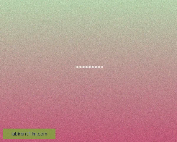 付费模式优化探讨提升用户体验与收益平衡